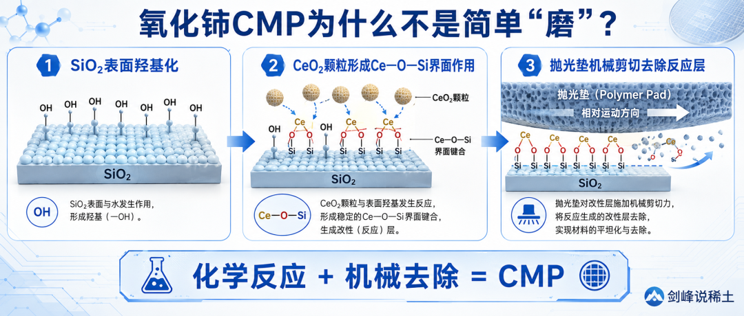 1784887443765398.png 图片1.png